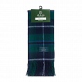 картинка Clans of Scotland Douglas от магазина  Mykilt